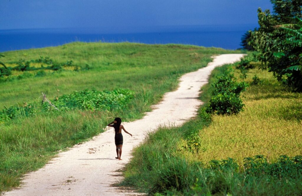 Untamed Traveling Walking alone