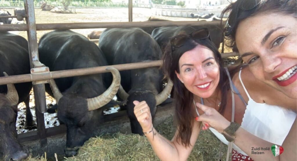 Valeria en Raffaella van Zuid Italië Reizen in Paestum bij de buffalo mozarella boerderijen