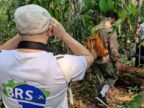 Brazilie Reis Specialist Tupana lodge BRS