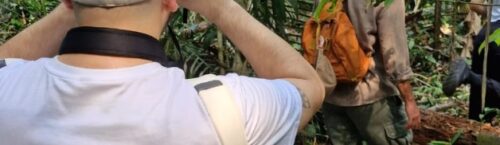 Brazilie Reis Specialist Tupana lodge BRS