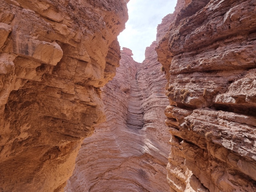 Natuurpark Salta Argentinië