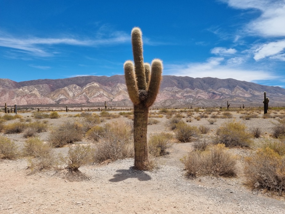 Natuurpark Salta Argentinië