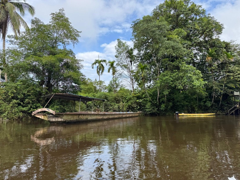 Mulu National Park Borneo