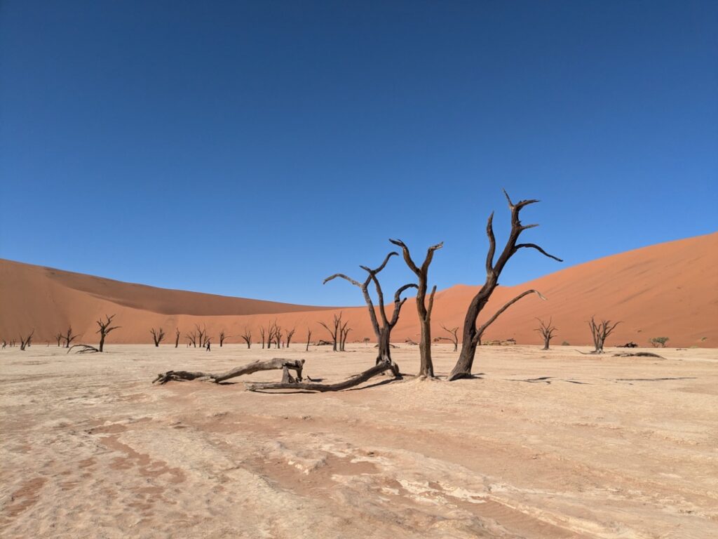 Sossusvlei Namibië