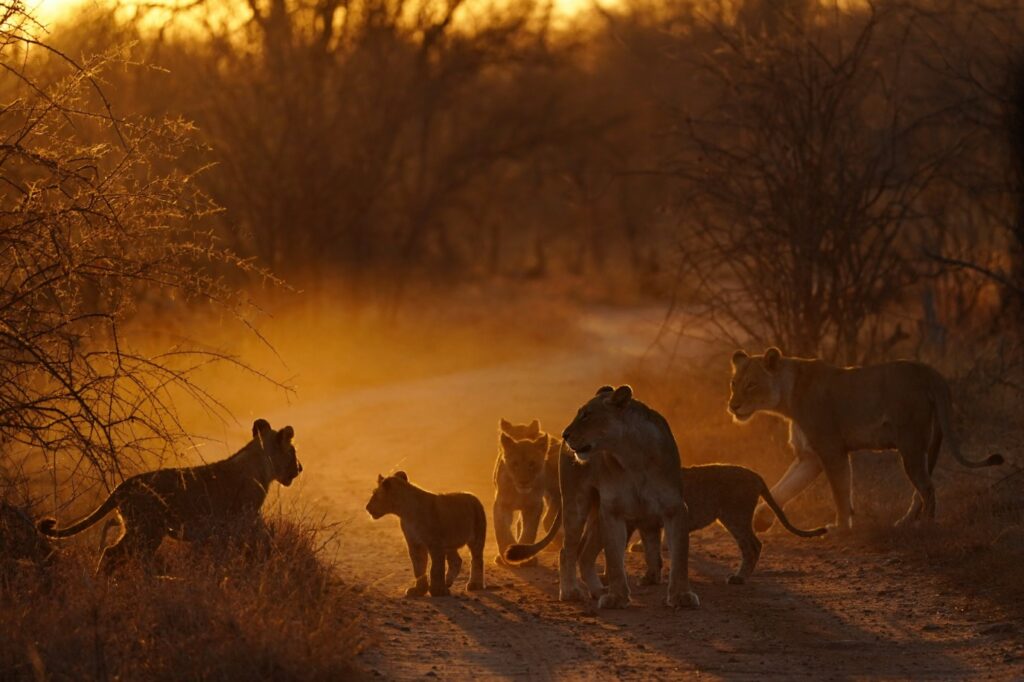 Fotoreis Zuid Afrika