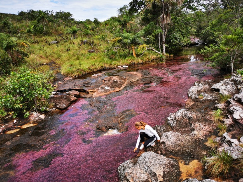 Colombia Cano Cristales