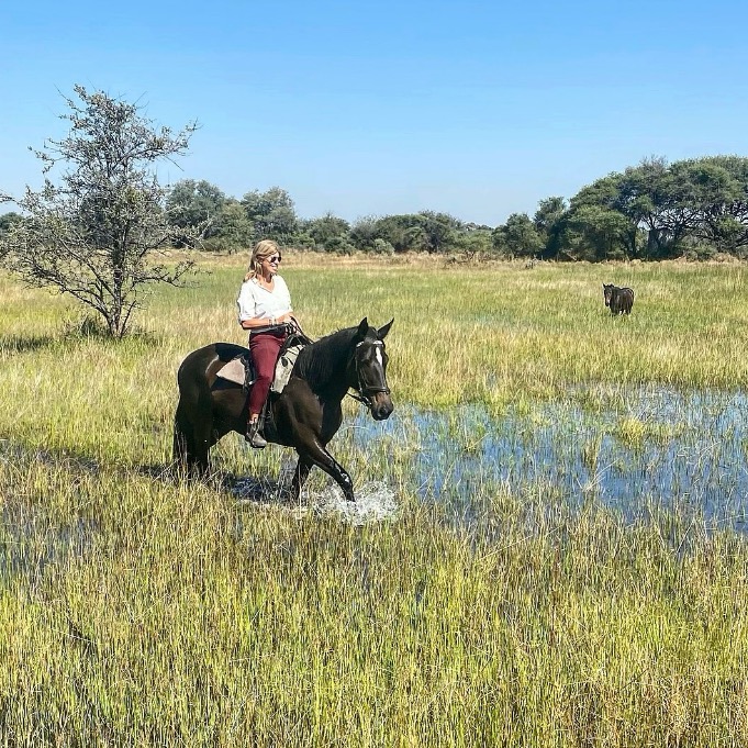 Safari te paard