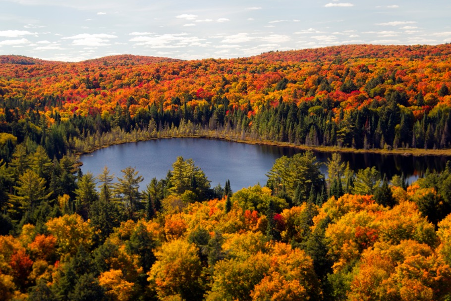 Algonquin Provincial Park Canada
