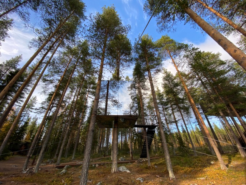 Tree House in Zweden