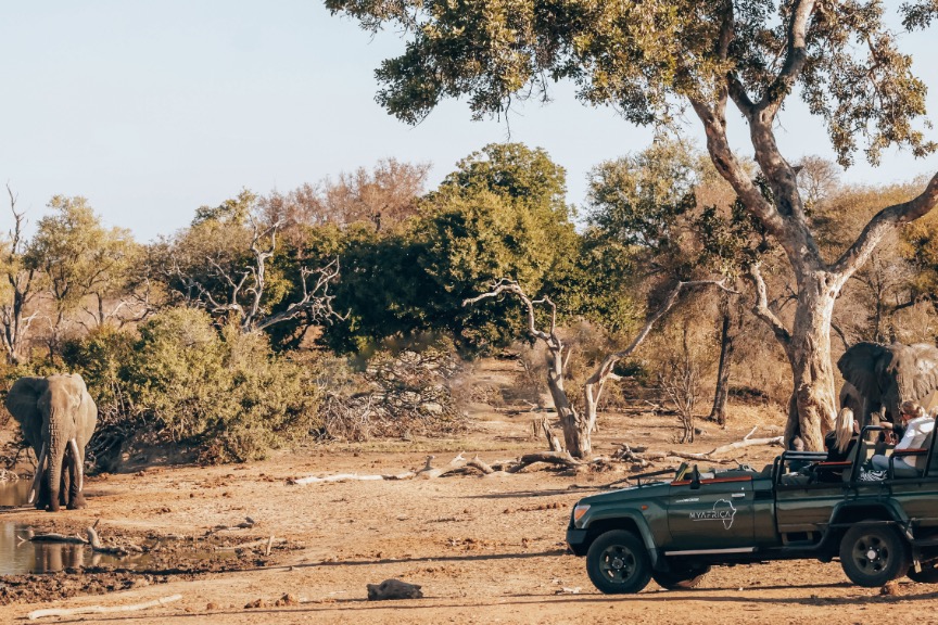 Op Safari met My Africa Travel