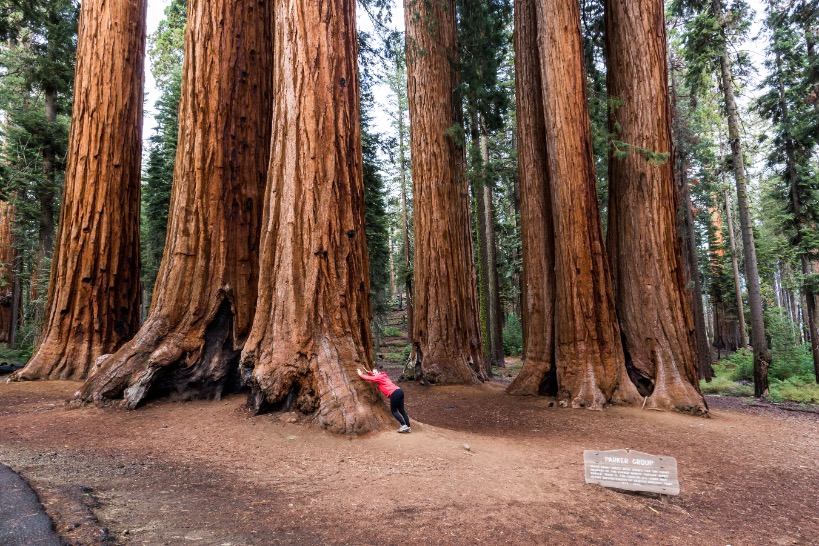 Sequoia National Park