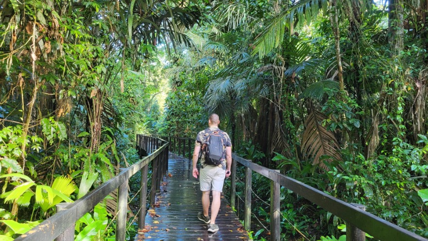 Regenwoud in Nationaal Park Costa Rica