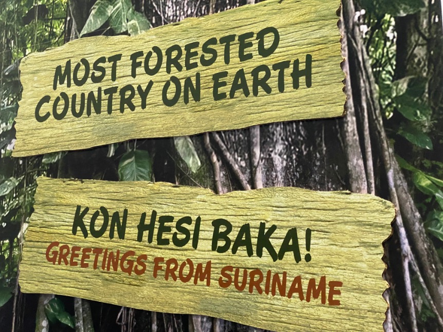 Kon hesi baka