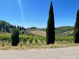 Chianti-streek met bomen Italië