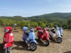 Il Vissuto Vespa's in een wijngaard in de Chianti
