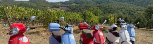 Il Vissuto Vespa's in een wijngaard in de Chianti