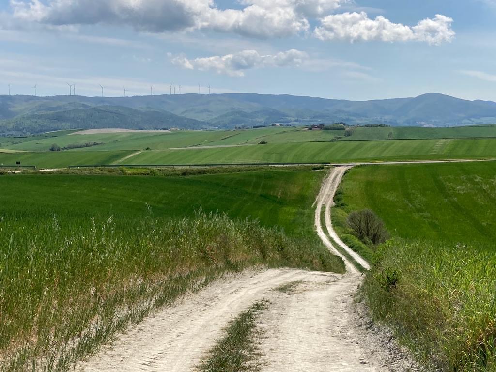Zulke wegen in Toscane staan niet op Google Maps