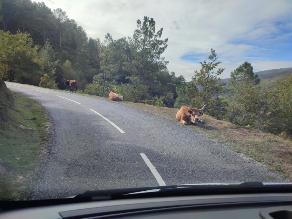 Slow travel met Ontdek Galicië