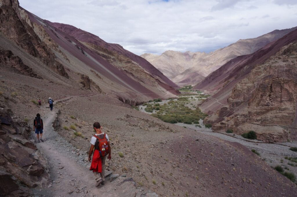 Markha Valley Trekking in India