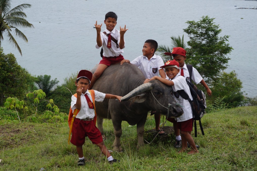 Rama Tours Indonesie, Sumatra, Toba meer