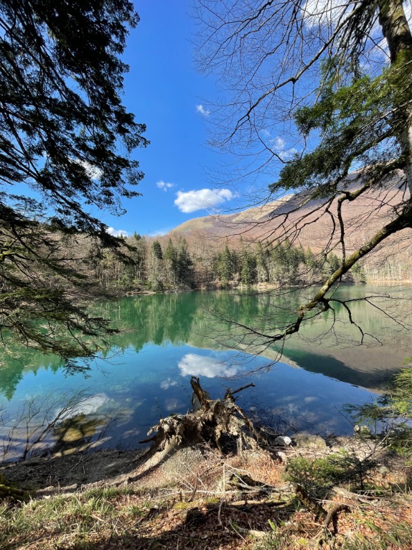 Biogradsko lake (Montenegro)