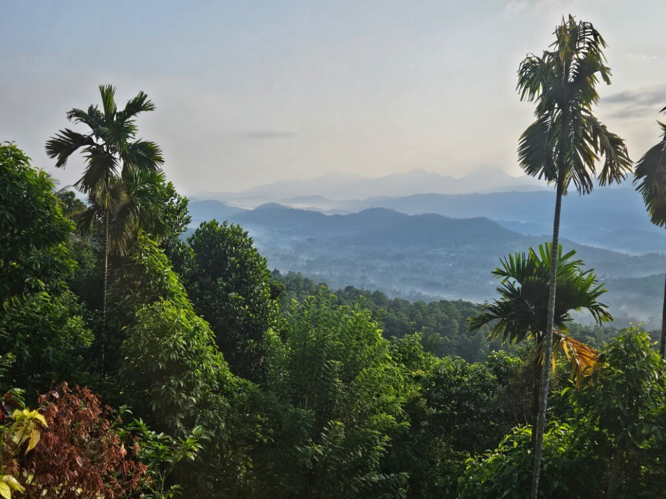 Aarunya Nature Resort - Sri Lanka