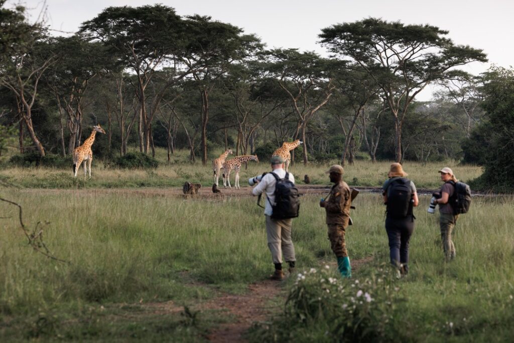 Wandel safari in Lake Mburo NP